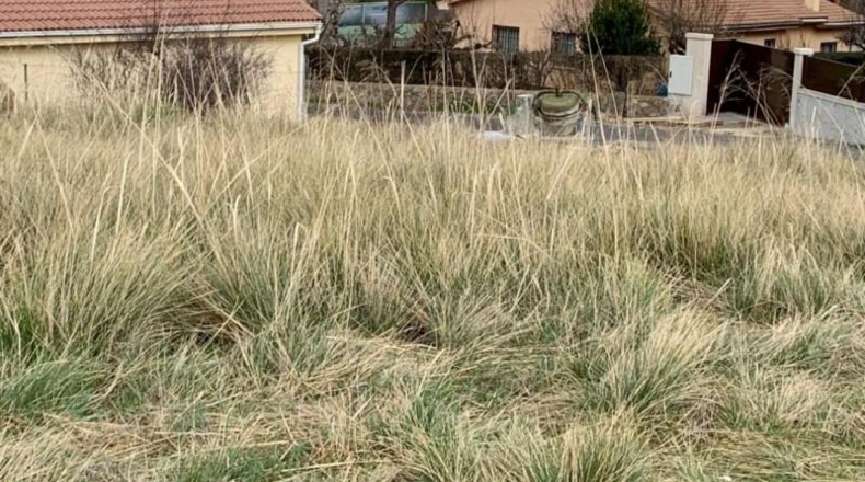 Segovia - Otero de Herreros - 610m2