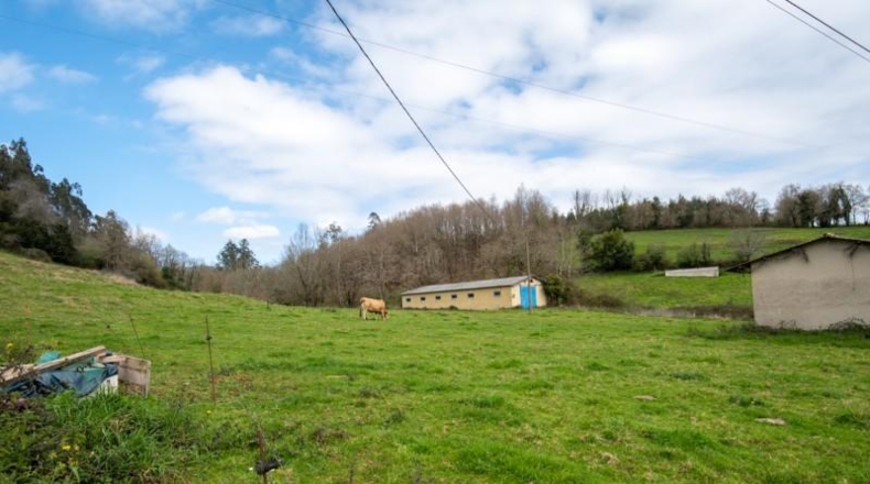 Astúries - Villaviciosa - 1061m2