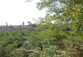 Chalet independiente con terreno en venta en la España, Abanilla, ref: TR401099 foto
