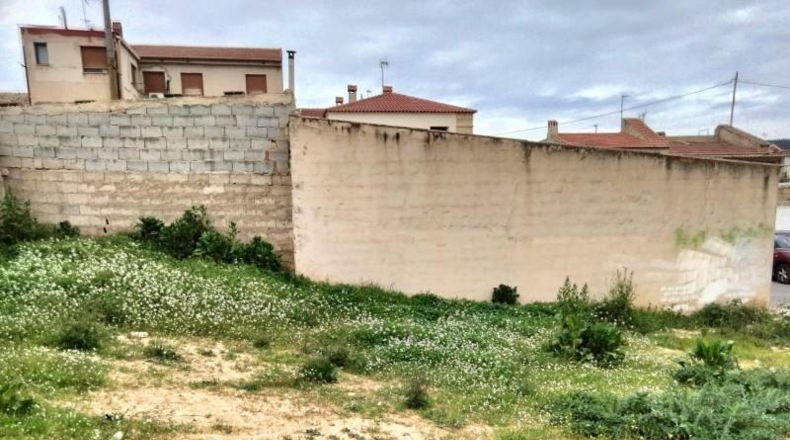 Murcia - Bullas - 1230m2