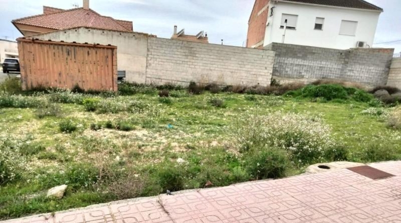 Murcia - Bullas - 1230m2