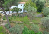 House with land for sale on España, Esparreguera, ref: TR401111 photo