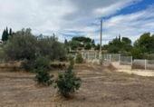 Xalet independent amb terreny en venda a la España, Tortosa, ref.: TR401127 foto