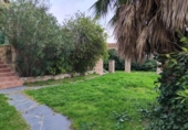 Detached villa with land for sale on España, Plasencia, ref: TR401222 photo