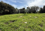 Suelo urbano en venta en la España, San Vicente de la Barquera, ref: TR395237 foto