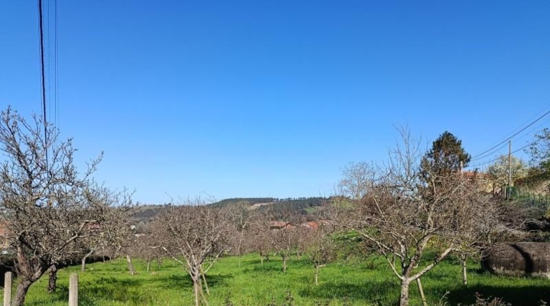 Asturias - Gijón - 785m2