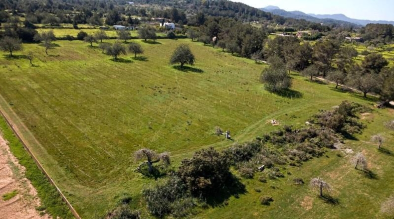 Islas Baleares - Ciudadela - 22000m2