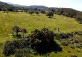 Terreno no urbanizable en venta en la España, Ibiza, ref: TR395235 foto