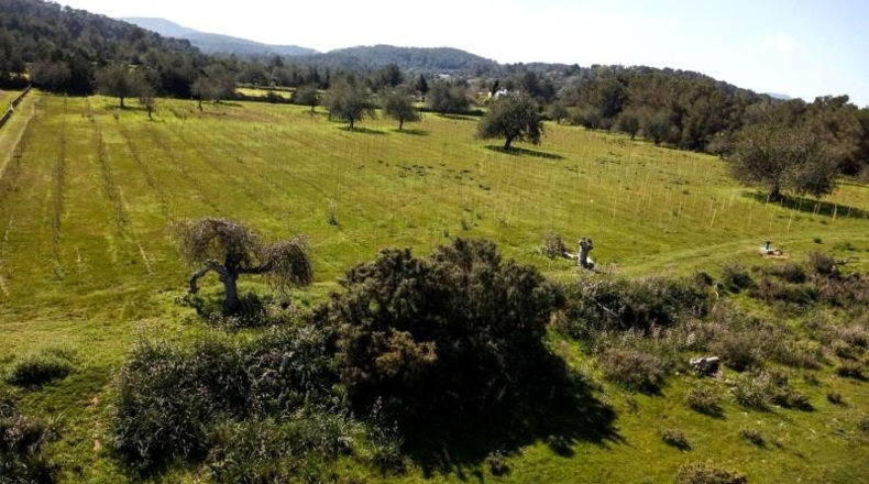 Islas Baleares - Ciudadela - 22000m2