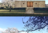 Terreno no urbanizable en venta en la España, Ibiza, ref: TR395235 foto