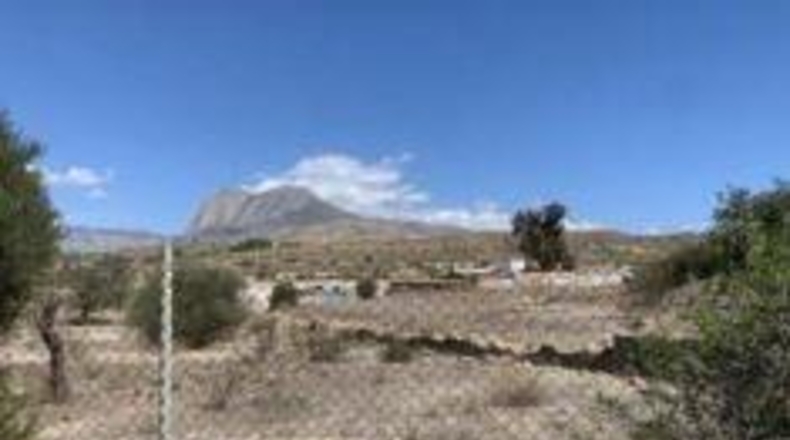 Alicante - Villajoyosa - 5380m2