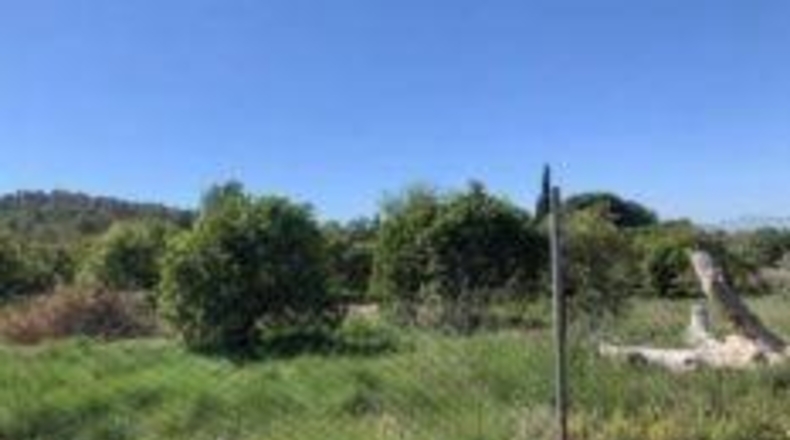 Alicante - Villajoyosa - 5380m2