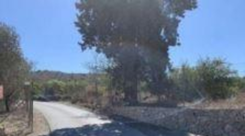 Alicante - Villajoyosa - 5380m2