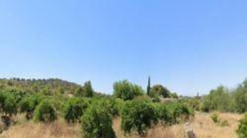 Alicante - Villajoyosa - 5380m2