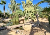 Chalet independiente con terreno en venta en la España, San Vicente del Raspeig, ref: TR401274 foto
