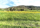 Non-developable land for sale on España, Santa María de Cayón, ref: TR395232 photo
