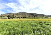 Non-developable land for sale on España, Santa María de Cayón, ref: TR395232 photo