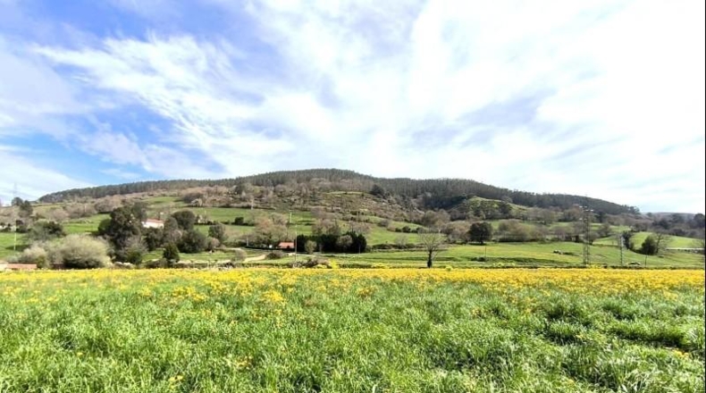 Cantabria - Santa María de Cayón - 1652m2