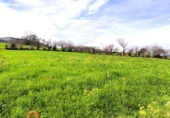 Non-developable land for sale on España, Santa María de Cayón, ref: TR395231 photo