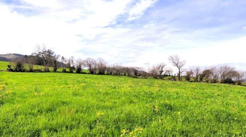 Cantabria - Santa María de Cayón - 5700m2
