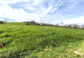 Non-developable land for sale on España, Santa María de Cayón, ref: TR395231 photo