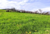 Non-developable land for sale on España, Santa María de Cayón, ref: TR395231 photo