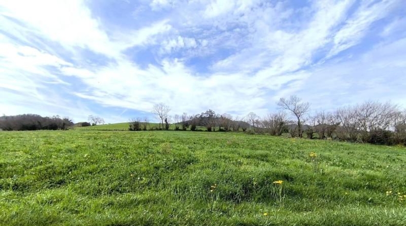 Cantabria - Santa María de Cayón - 5700m2
