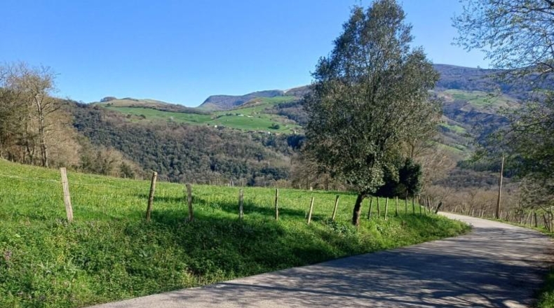 Cantabria - Veguilla - 4023m2