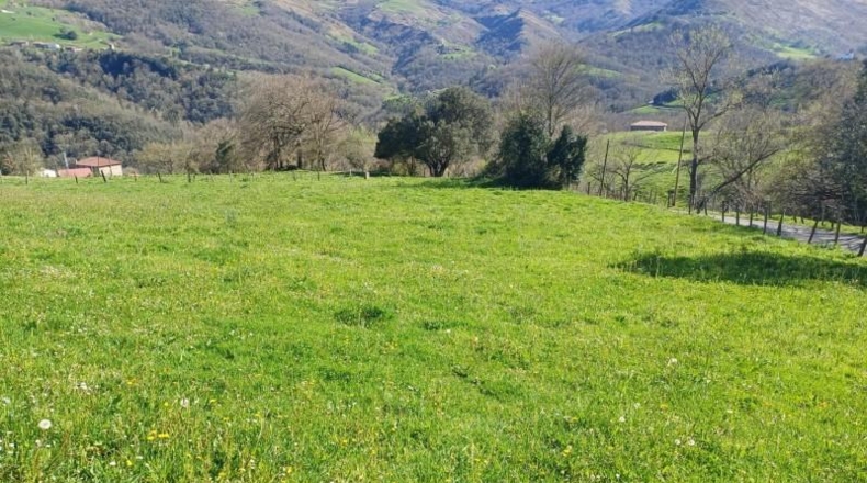 Cantabria - Veguilla - 4023m2
