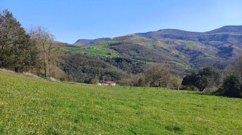 Cantabria - Veguilla - 4023m2