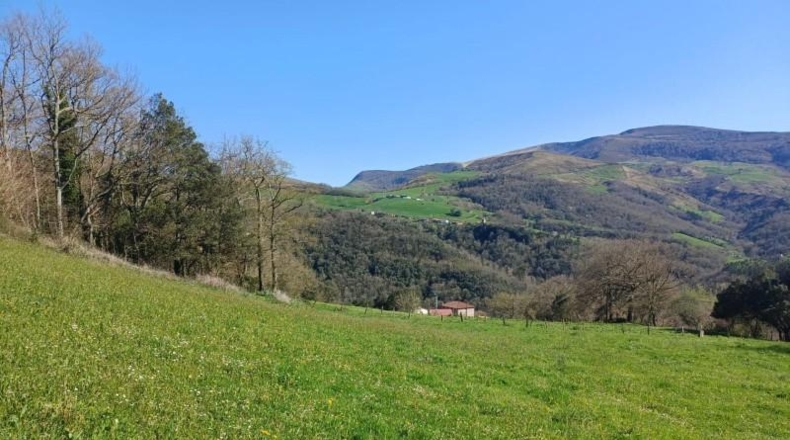 Cantabria - Veguilla - 4023m2