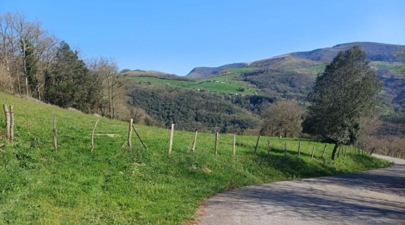 Cantabria - Veguilla - 4023m2