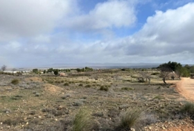 Almansa 15600&nbsp;m² 