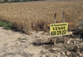 Terreny no urbanitzable en venda a la España, Guardamar del Segura, ref.: TR395226 foto