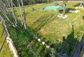 Foto 13