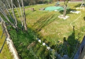 Casa prefabricada amb terreny en venda a la España, Jerez de la Frontera, ref.: TR401308 foto