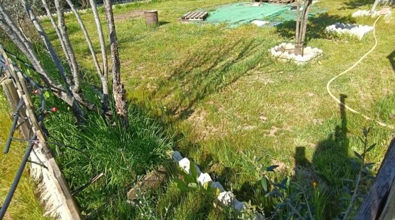 Cádiz - Jerez de la Frontera - 500m2