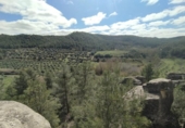 Xalet independent amb terreny en venda a la España, Calaceit, ref.: TR401309 foto