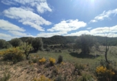 Xalet independent amb terreny en venda a la España, Calaceit, ref.: TR401309 foto