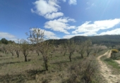 Xalet independent amb terreny en venda a la España, Calaceit, ref.: TR401309 foto