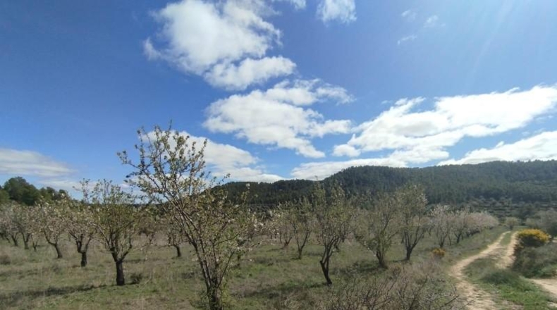 Teruel - La Fresneda - 410m2