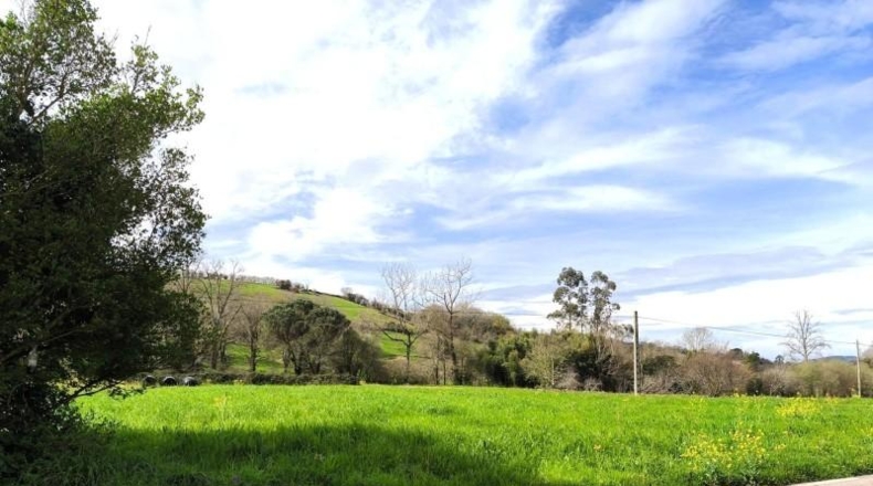 Cantabria - Santa María de Cayón - 2453m2