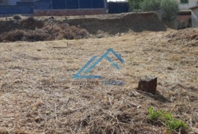 Piera 598&nbsp;m²