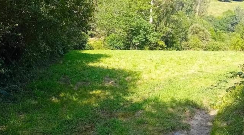 Cantabria - Lendagua - 1520m2