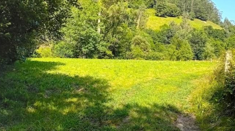 Cantabria - Lendagua - 1520m2