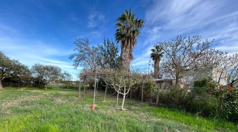 Sevilla - La Rinconada - 2000m2