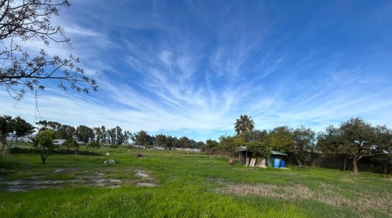 Sevilla - La Rinconada - 2000m2