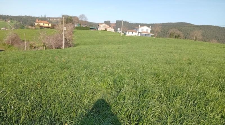 Cantabria - Polanco - 2450m2