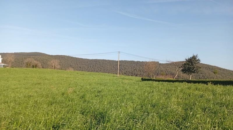 Cantabria - Polanco - 2450m2