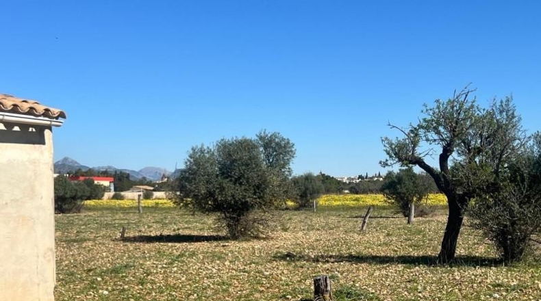 La Coruña - Frades - 3579m2